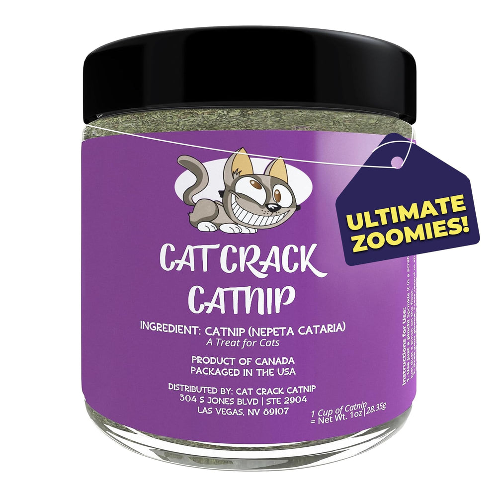 Cat Crack: emballage compact prêt à ranger et à utiliser lors du jeu.