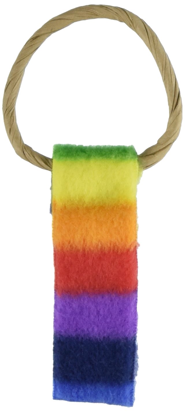 Cat Dancer Chaser modèle Whisker encourage activité physique