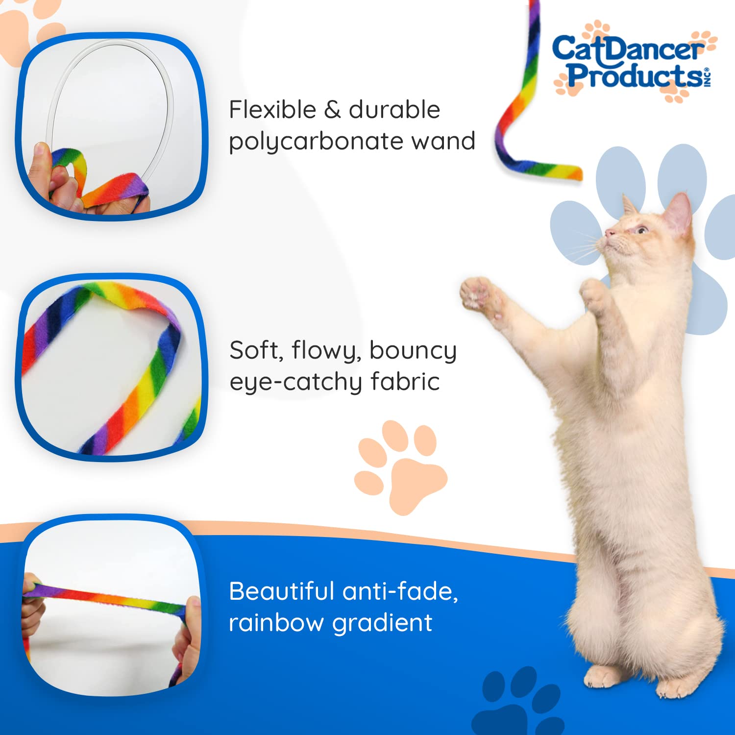 Cat Dancer exercice interieur encourage l'activité même par temps gris.