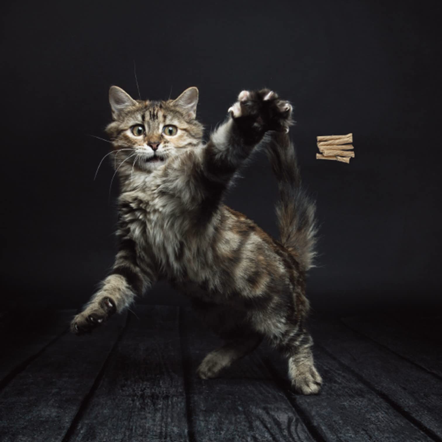 Cat Dancer fil acier flexible 76 cm offre des mouvements variés
