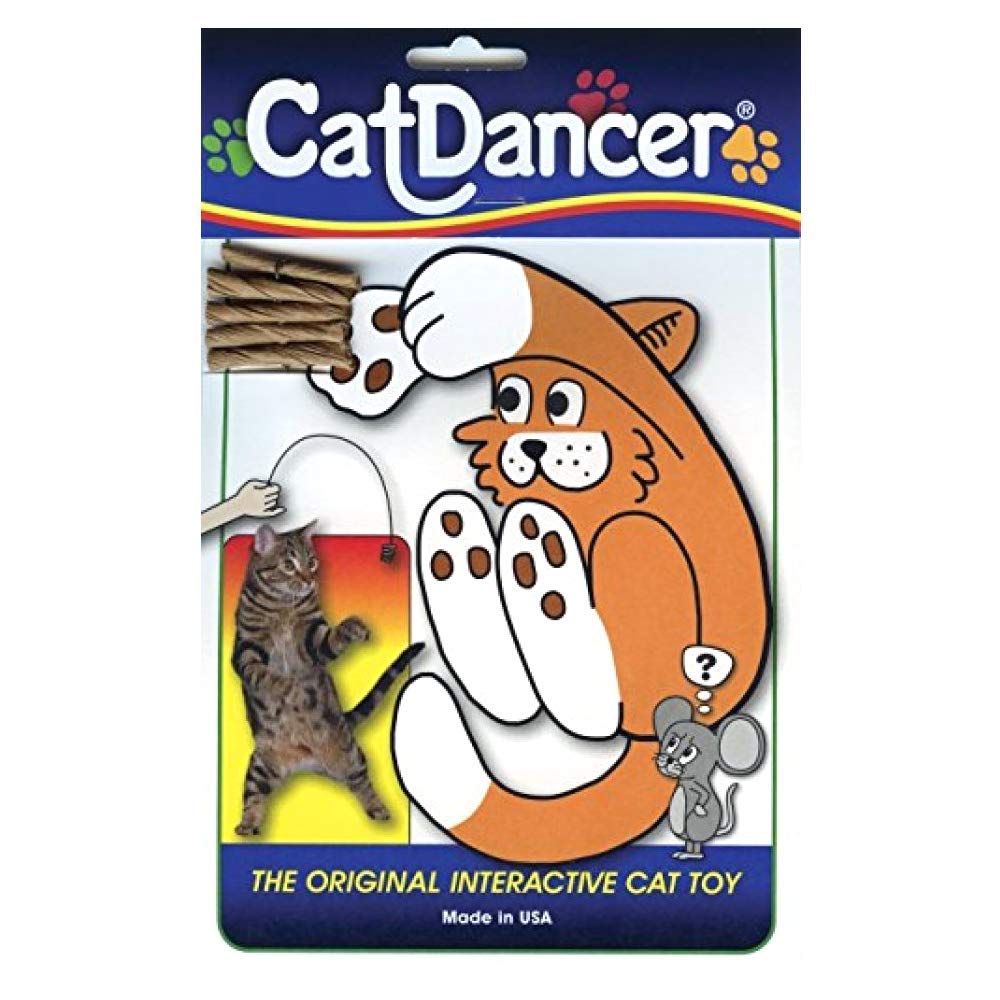 Cat Dancer, mouvement balancement captivant pour entraînement ludique