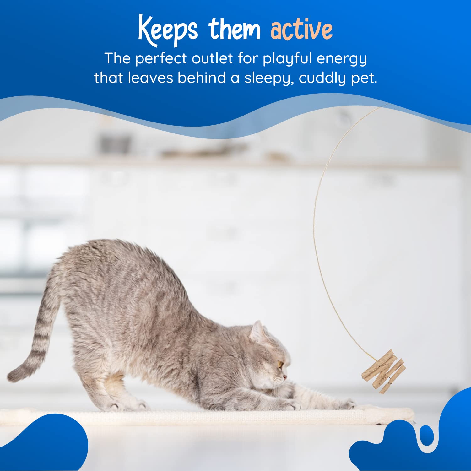 Cat Dancer stimulation mentale: chat planifiant ses attaques sur les rouleaux