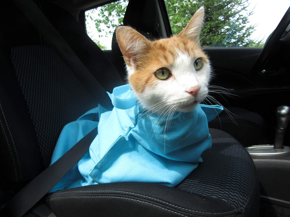 Cat-in-the-bag design tête dehors favorise le calme lors des visites.