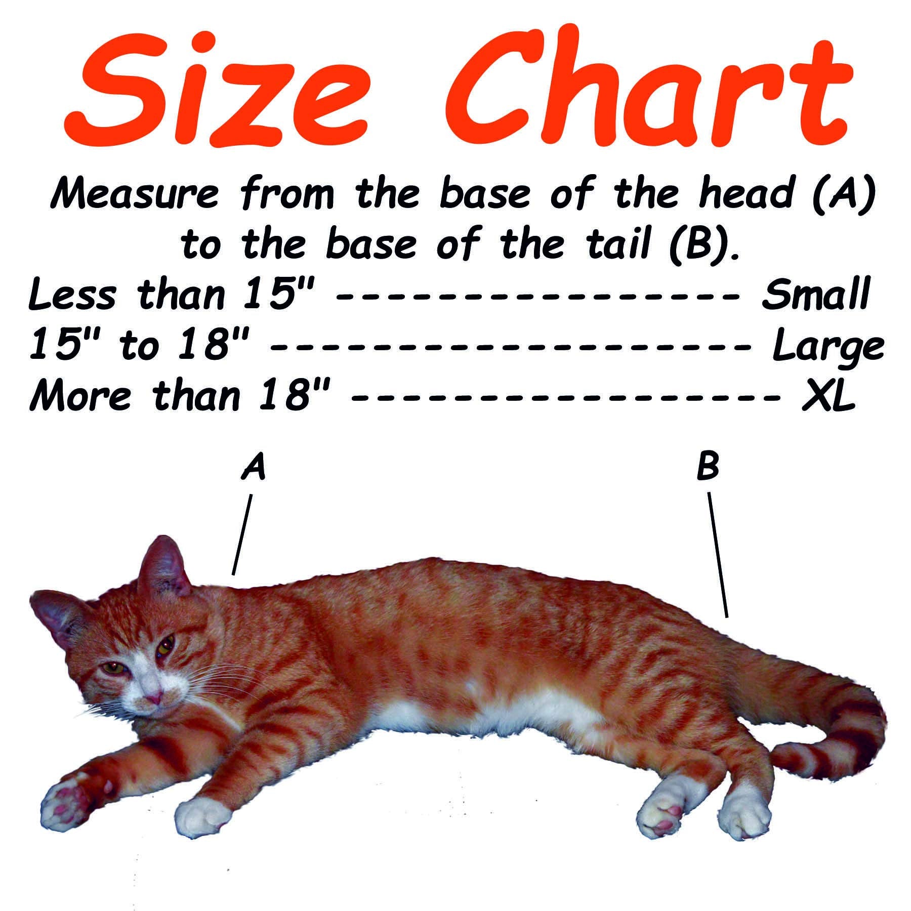 Cat-in-the-bag support clientèle etats-unis rassure lors des questions d’usage.