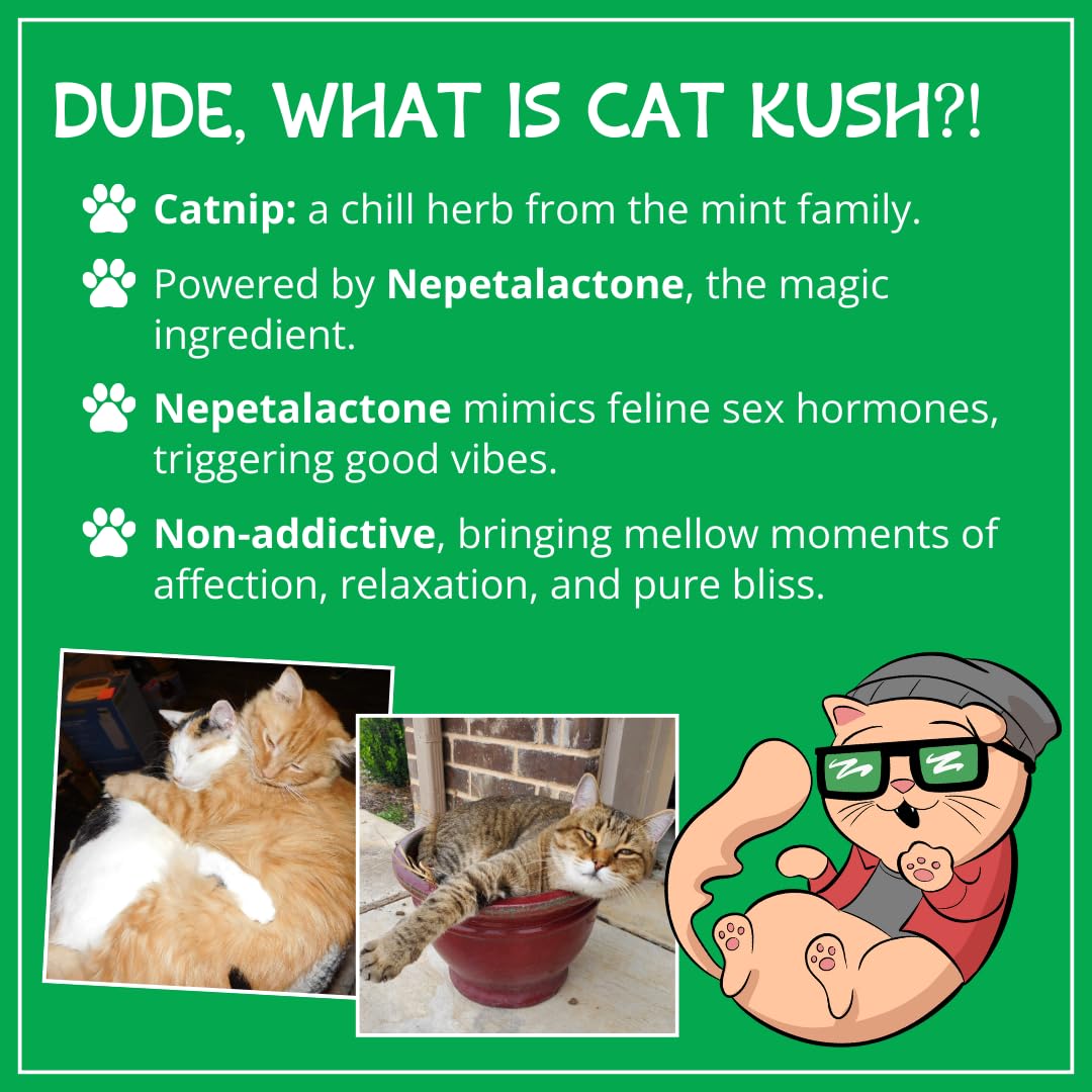 Cat Kush cataire emballage: conservation facile et qualité biologique.