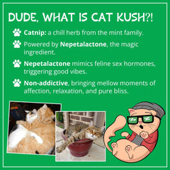 Cat Kush cataire emballage: conservation facile et qualité biologique.