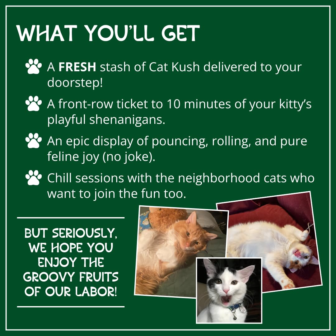 Cat Kush cataire utilisation quotidienne: saupoudrage facile sur objets.