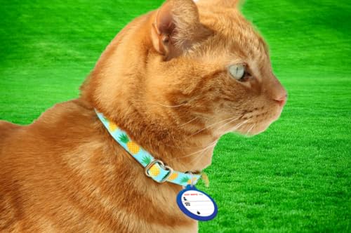 Cat Mate: attache simple sur collier, mise en place rapide.