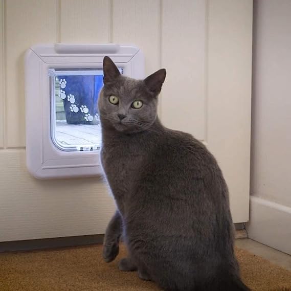 Cat Mate Elite : dimensions précises du clapet pour une découpe adaptée.