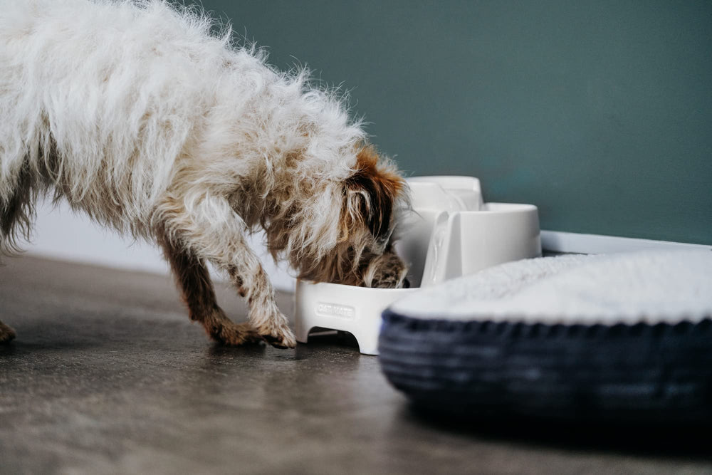 Cat Mate grille anti-débris : protège la pompe des débris.