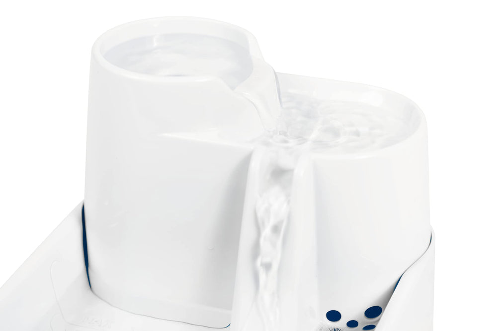 Cat Mate hygiène eau chat : eau propre pour l’hydratation.
