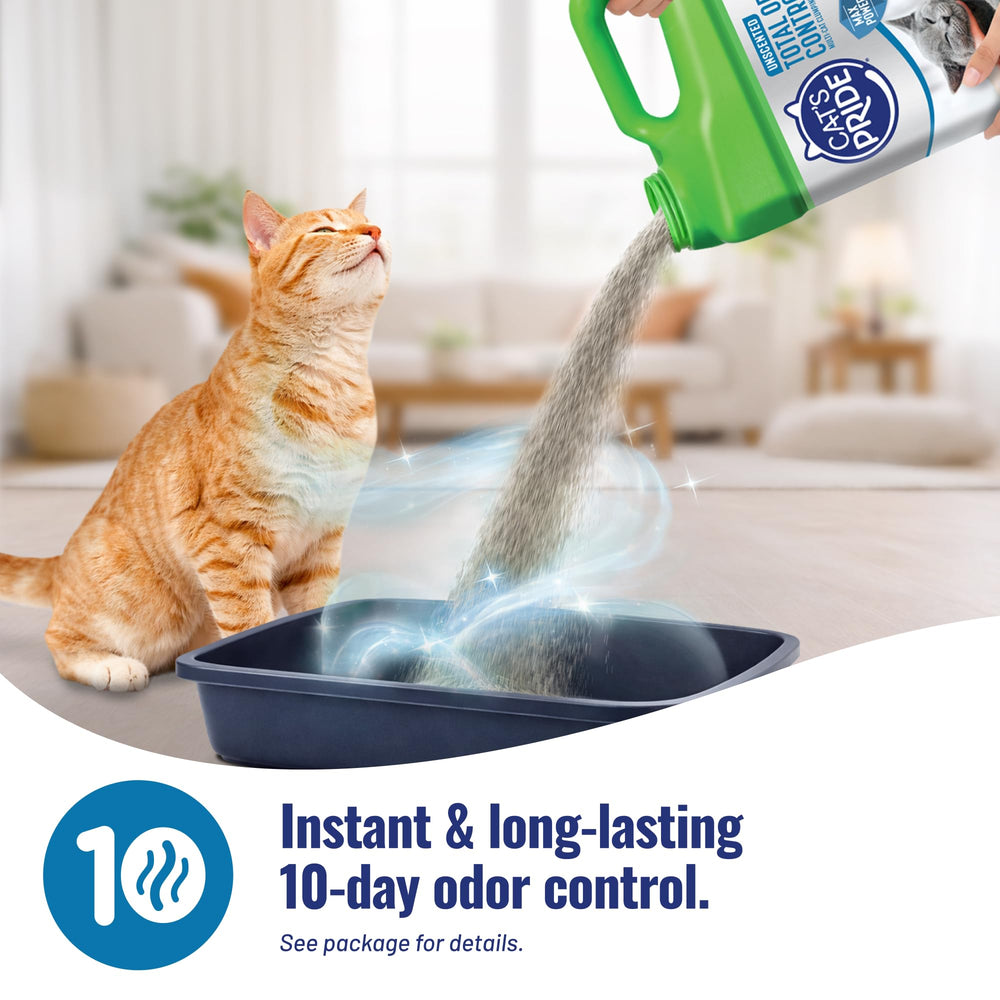 Litière sans poussière Cat's Pride Max Power pour un intérieur propre