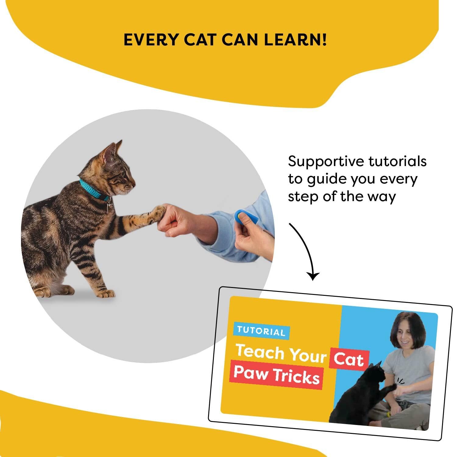 CAT SCHOOL kit d'entraînement pour chats enrichit le quotidien.