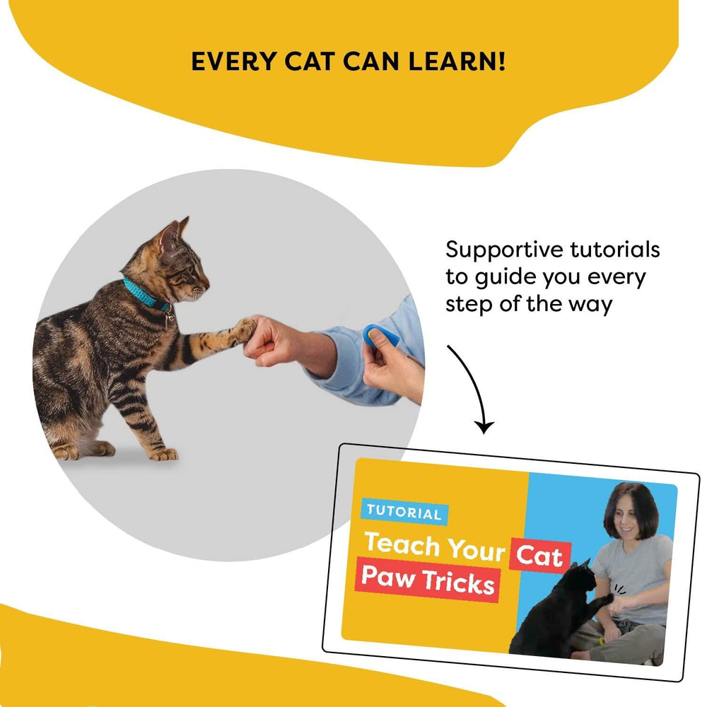 CAT SCHOOL kit d'entraînement pour chats enrichit le quotidien.