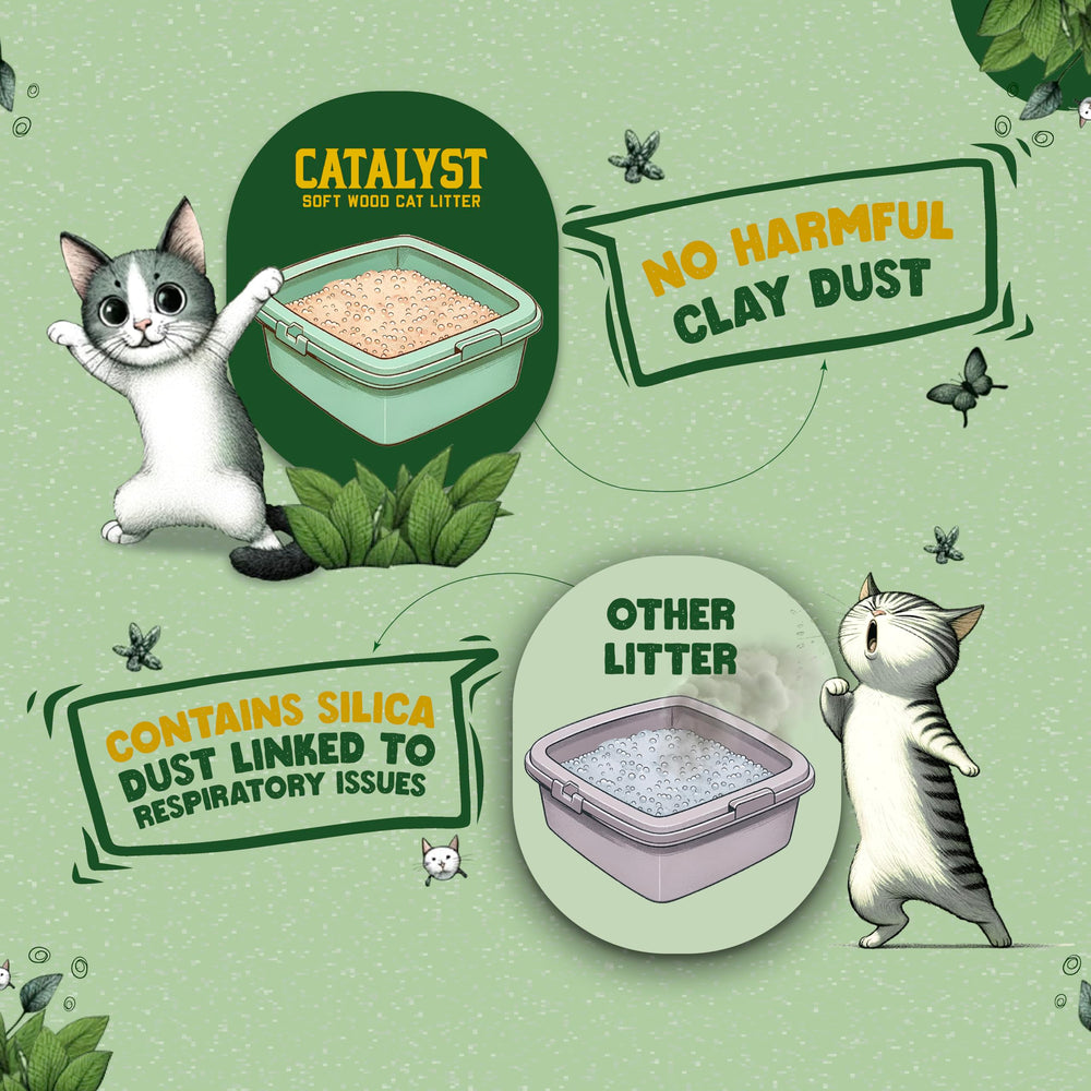 Catalyst litière bois doux - poussière faible pour un espace sain.