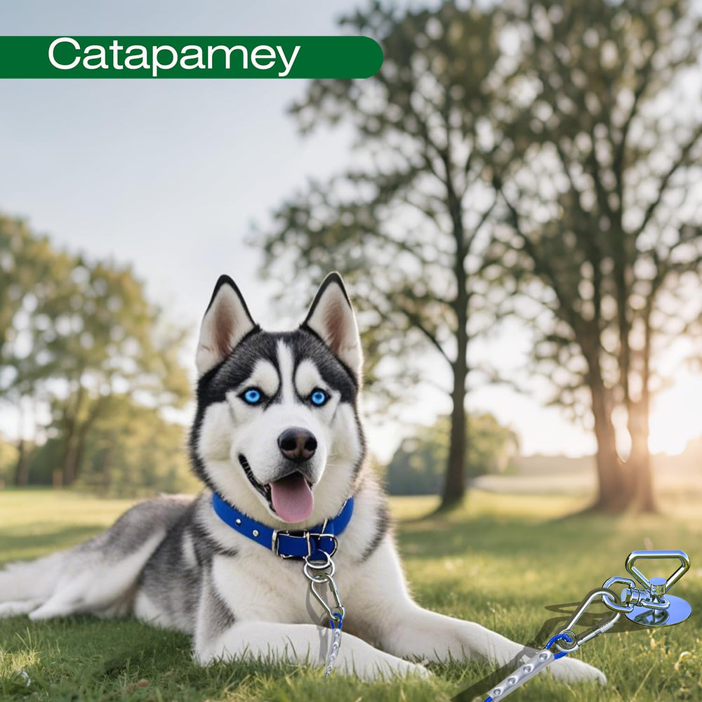 Catapamey ensemble-portable-pour-exterieurs-chien, accessoire pratique pour propriétaires.