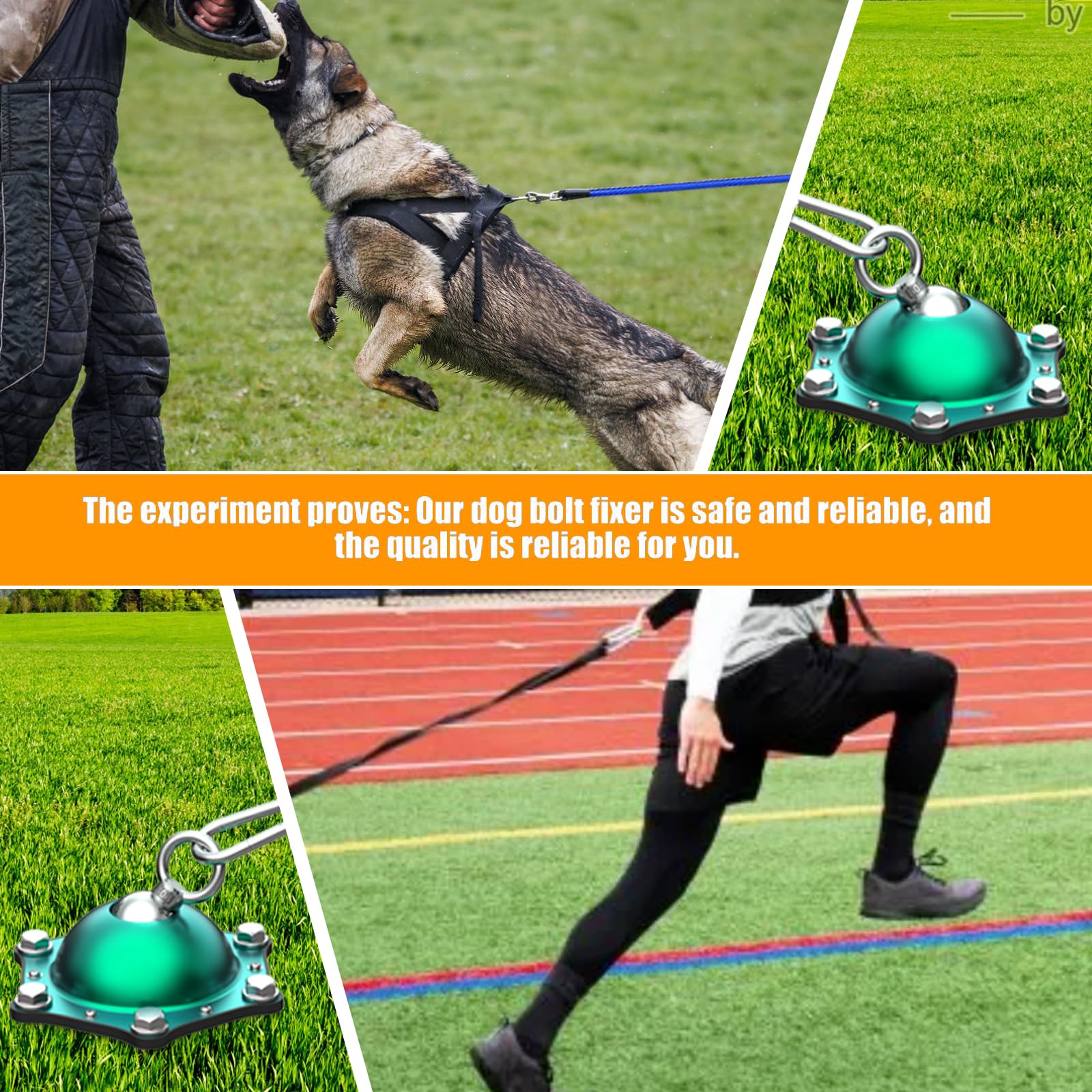 Catapamey longe chien amovible, ajustement pratique pour l espace.