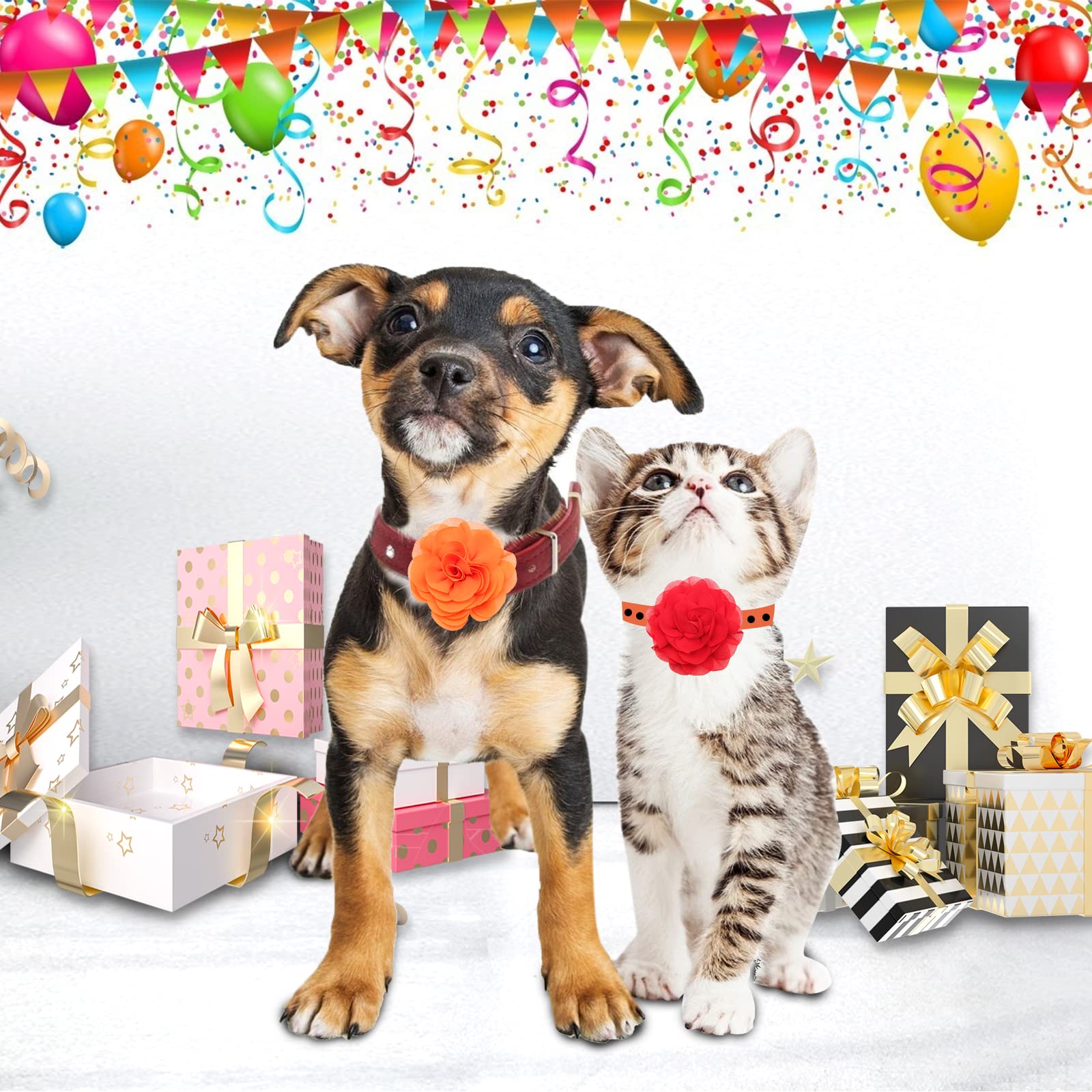 Catcan accessoire floral polyvalent pour animaux lors d'événements.