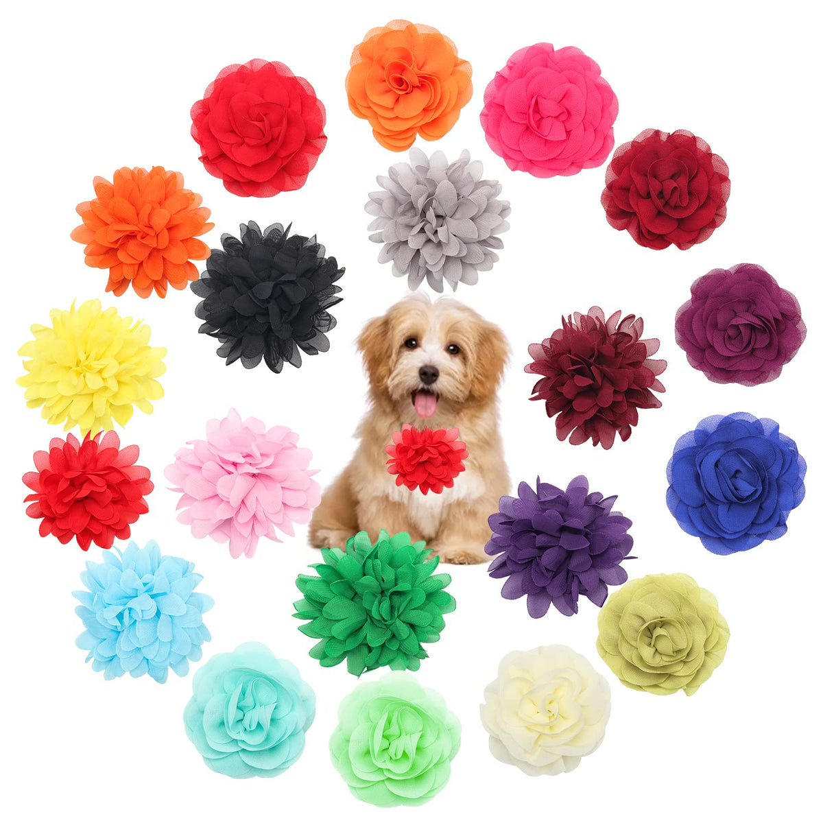 Catcan collier-fleur chien 10 cm, accessoire doux et élégant.