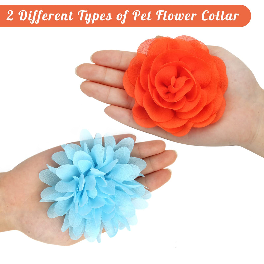 Catcan détail fleur collier chien, design lumineux.