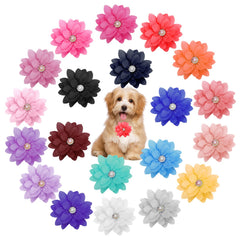 Catcan fleur-collier chien perle chiffon rose, accessoire élégant pour occasions spéciales et photos mignonnes.