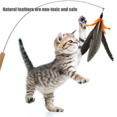 CATENEED attache-tige jouet chat plumes, installation facile et universelle.