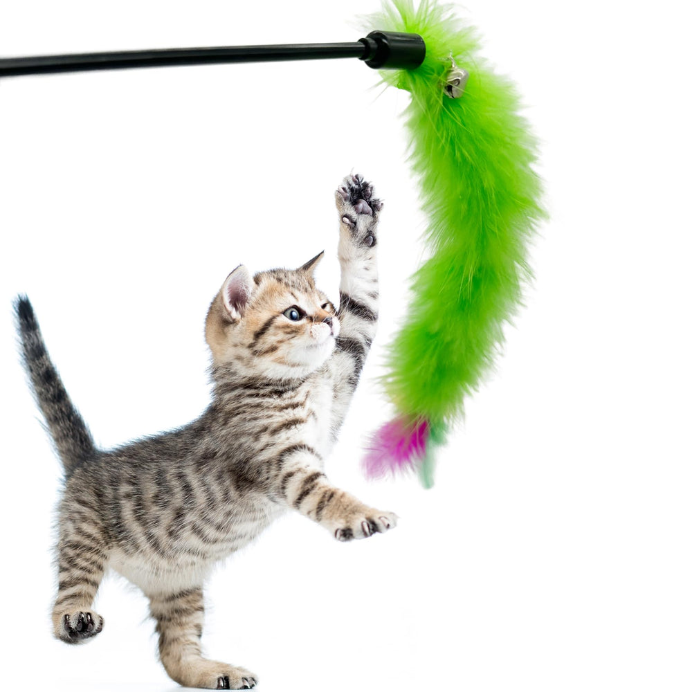 CATENEED design vif avec clochette pour attirer l’attention des chats
