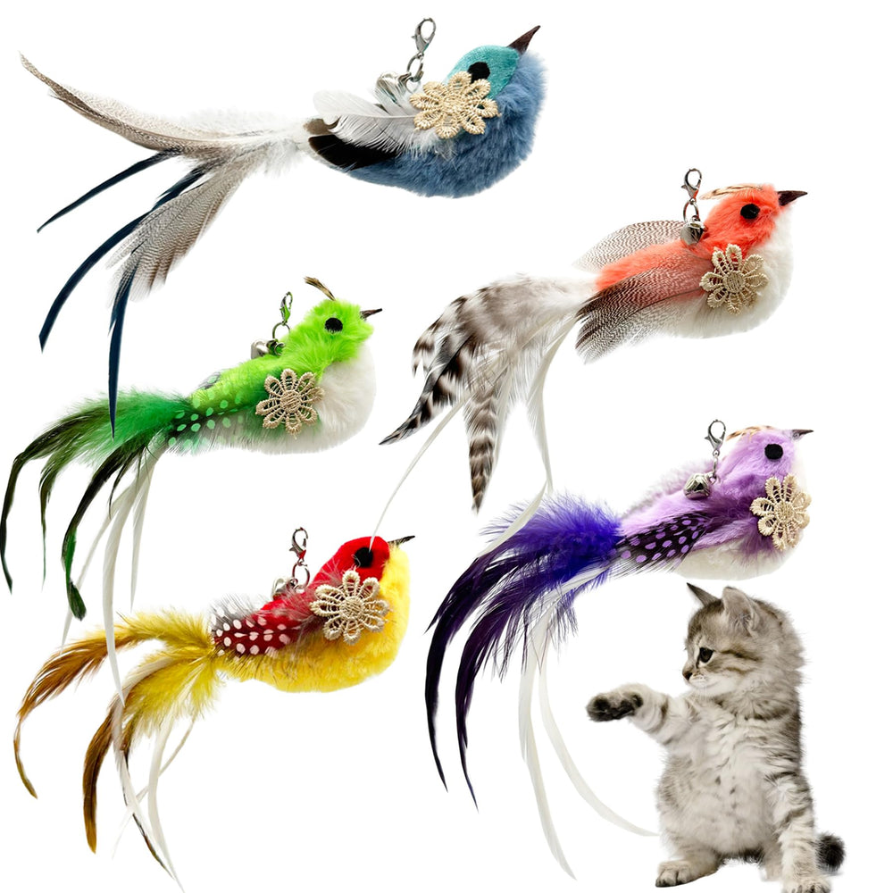 CATENEED : Recharges de plumes pour jouet chat, stimulant l'instinct de chasse.
