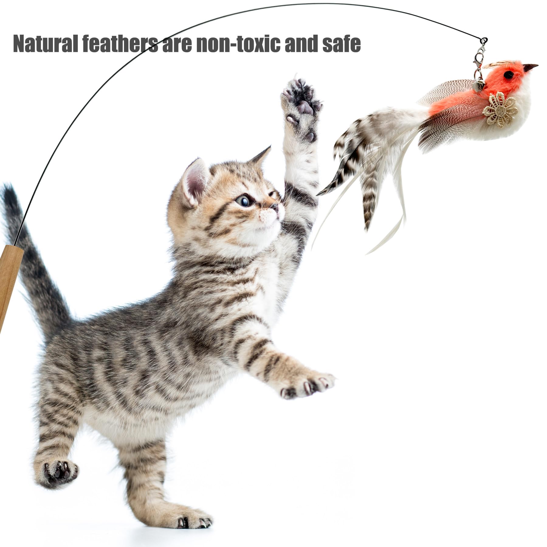 CATENEED : Plumes de rechange pour jouet chat, favorisent l'exercice et le jeu.