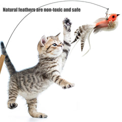 CATENEED : Plumes de rechange pour jouet chat, favorisent l'exercice et le jeu.