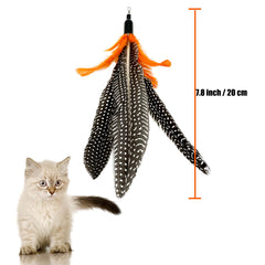 CATENEED plumes Da Bird 20 cm, ajout stimulant au jeu.