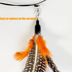 CATENEED refils plumes chat, texture douce favorisant les mouvements naturels.