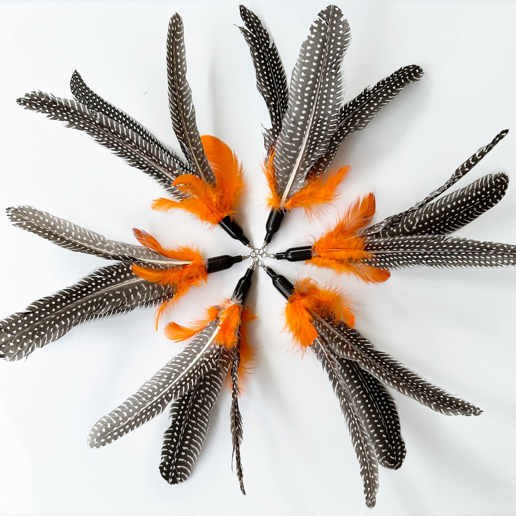 CATENEED plumes de remplacement Da Bird, idéal pour les sessions intérieures.