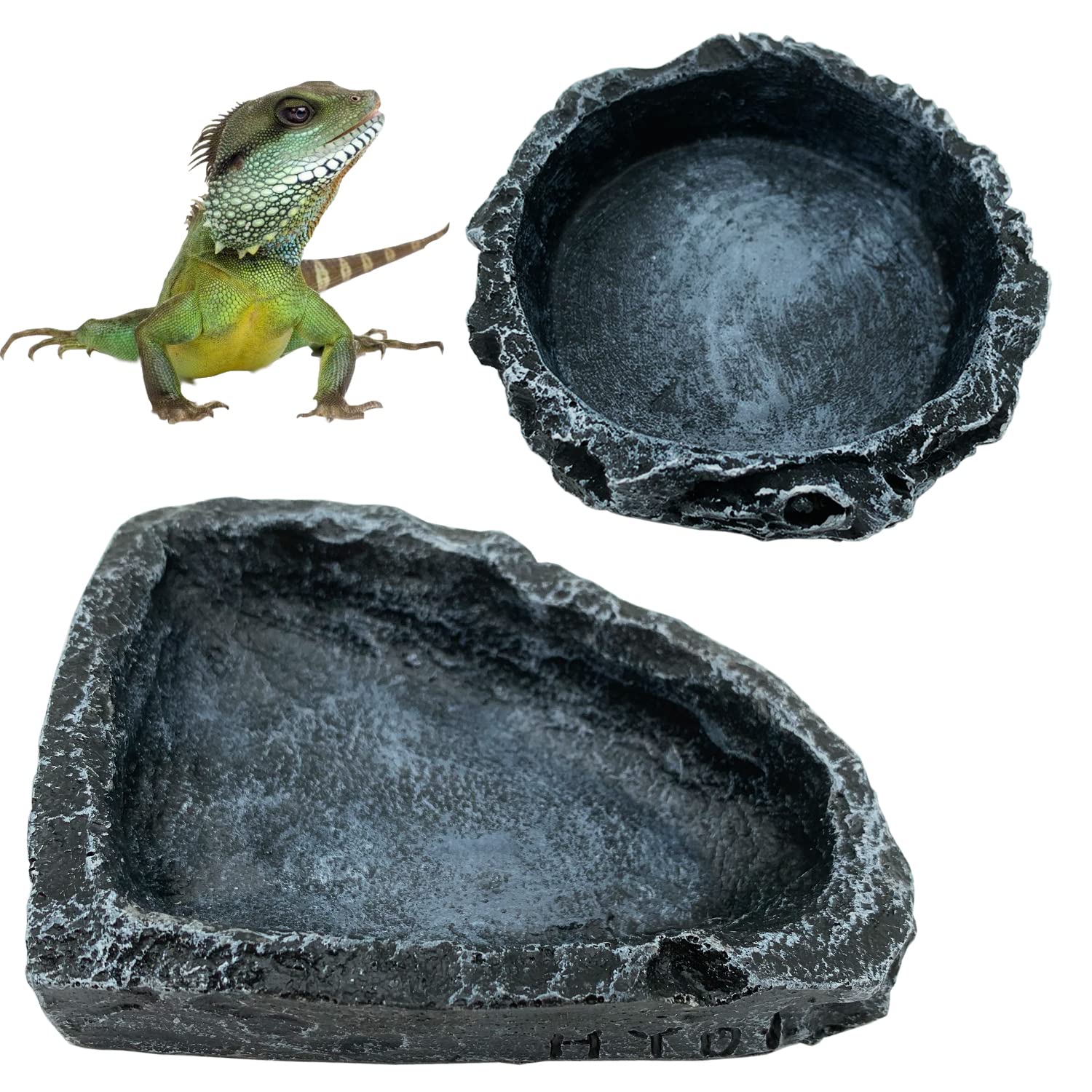 CATENESS bol alimentation reptile angle, précision d’alimentation dans l’habitat