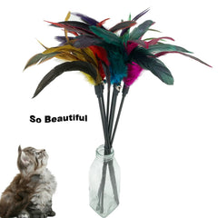 CATENESS bâton plume chat, jeu interactif pour renforcer les liens.
