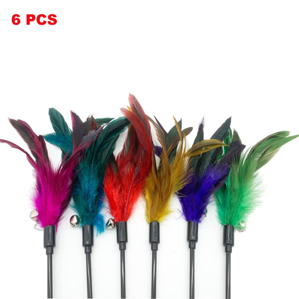 CATENESS ensemble plumes chat, divertissement quotidien.