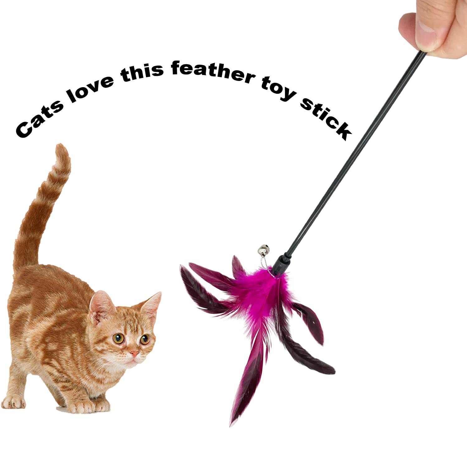 CATENESS jouet plume avec cloche, attire l’attention du chat.