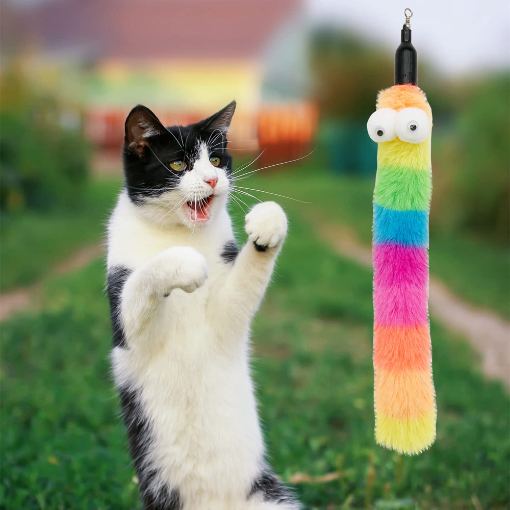 CATENESS utilisation en intérieur: idéale pour sessions quotidiennes.