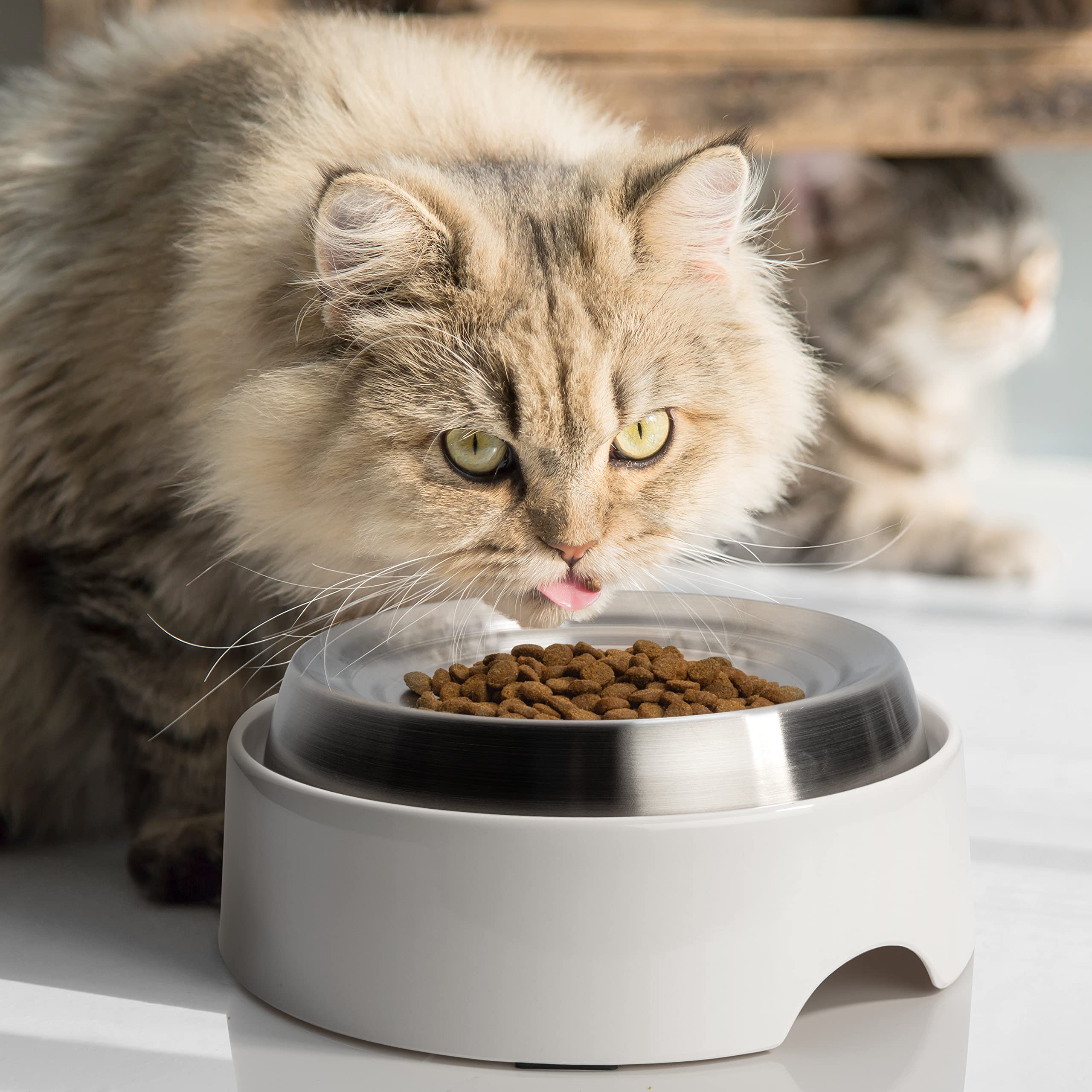 CatGuru assiette céramique sans plomb, entretien facile et durable.
