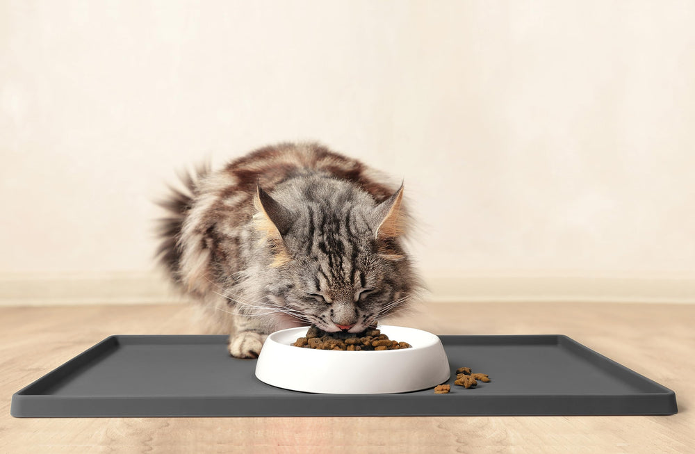 CatGuru bol-chat-micro-ondes-compatible : réchauffage léger pour les repas.