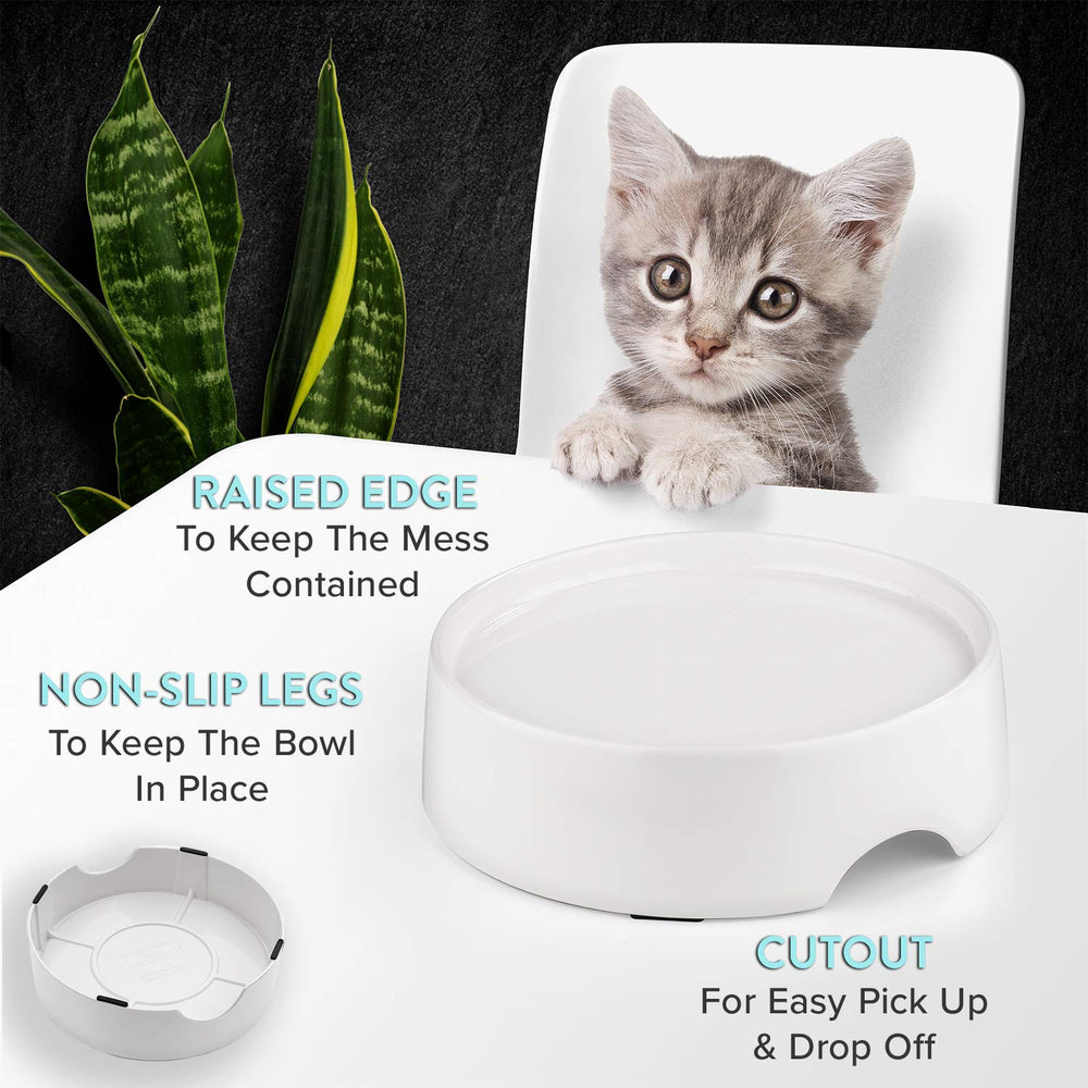 Base stable CatGuru, design compact et anti déversement.