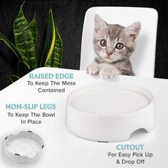 Base stable CatGuru, design compact et anti déversement.