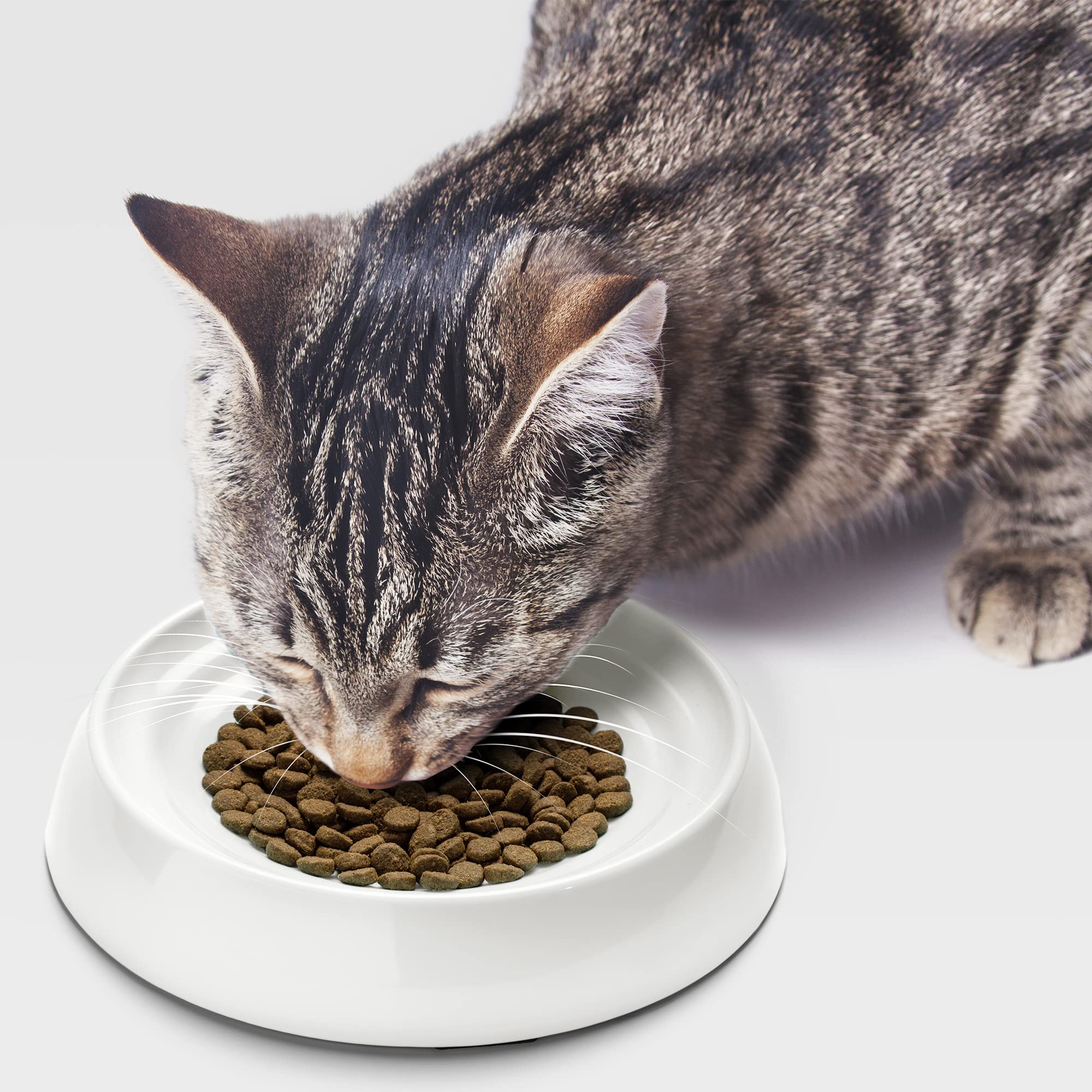 Bol CatGuru design pratique et élégant pour intérieur.