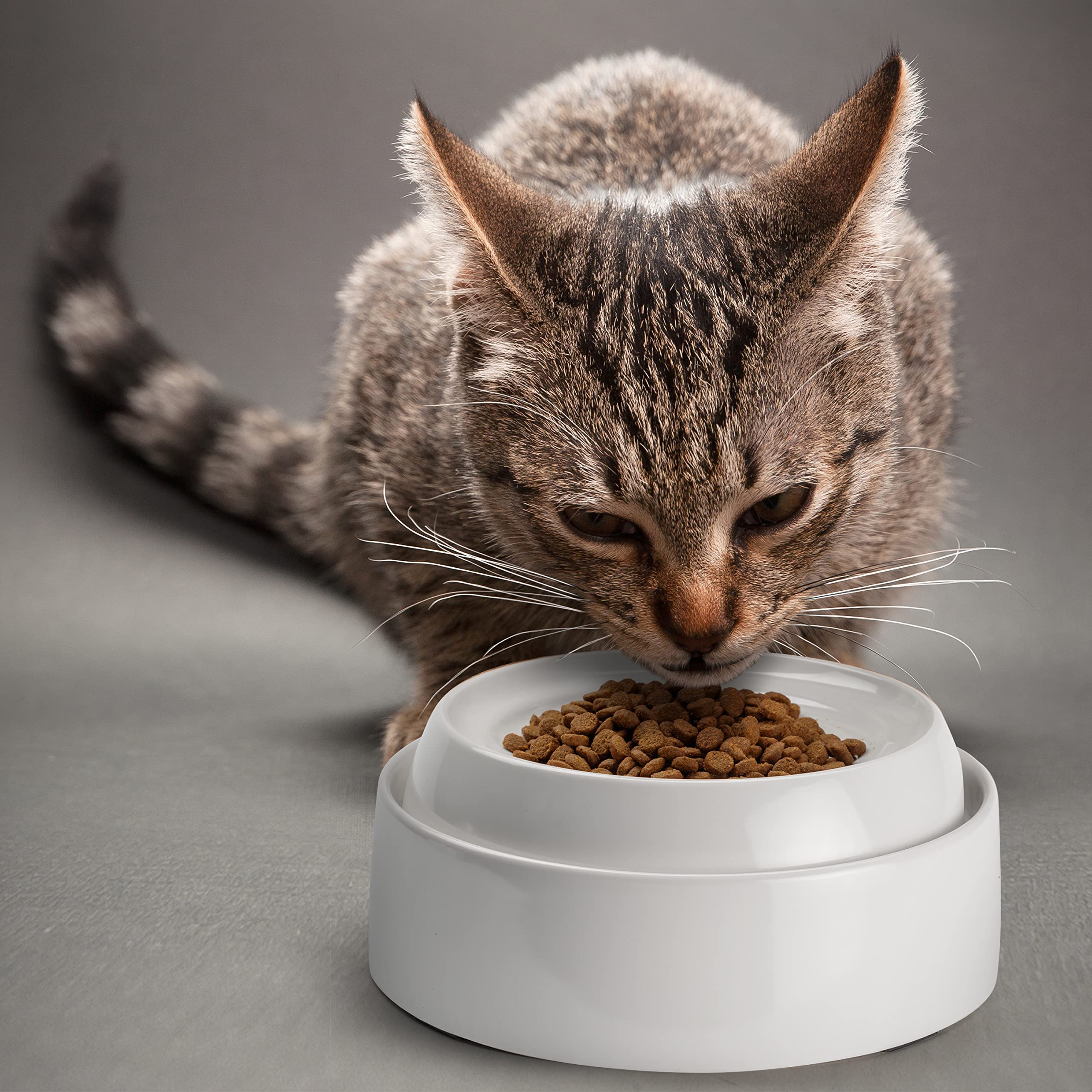 Pack de 2 bols CatGuru, pratique pour deux chats