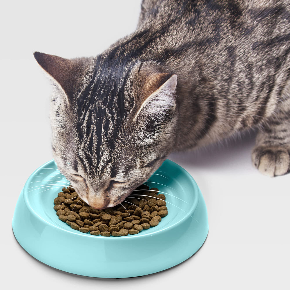 Bol CatGuru avec ondulations design, pratique et esthétique.