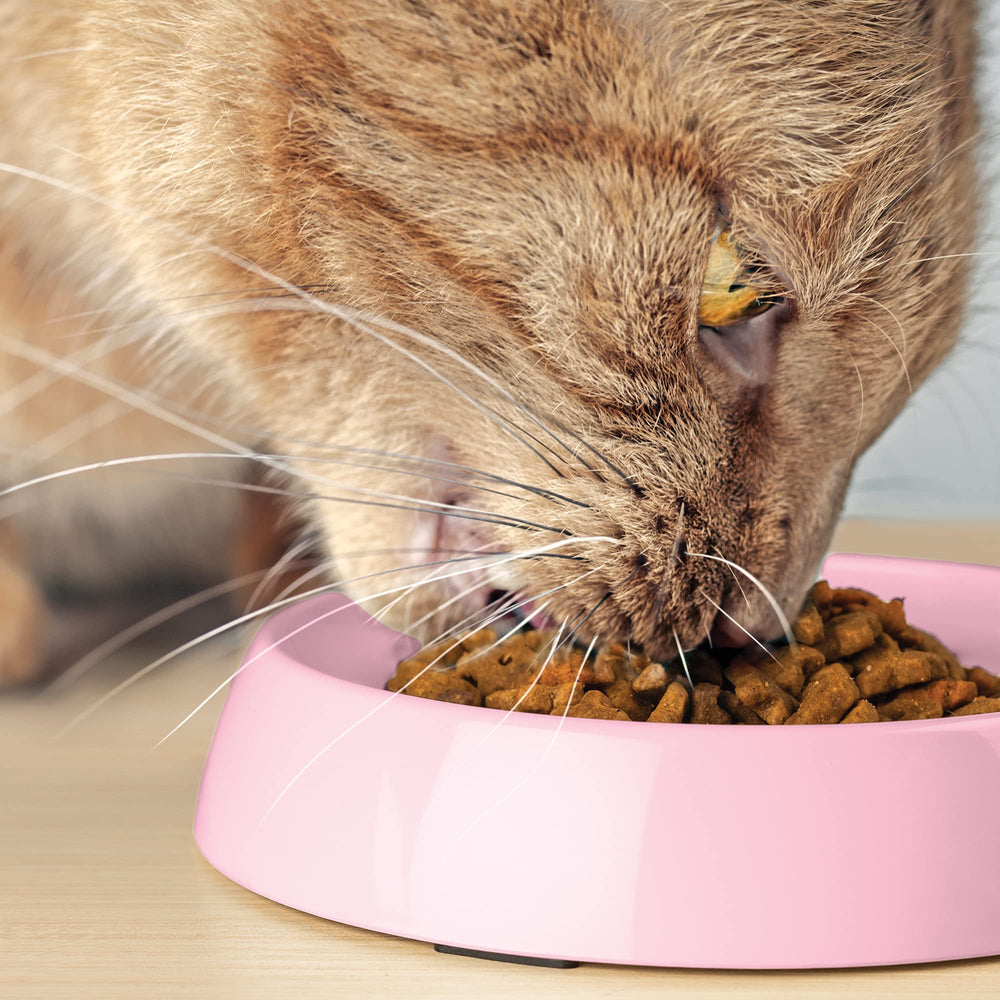 CatGuru bol chat rose bords doux pour les moustaches lors du repas.