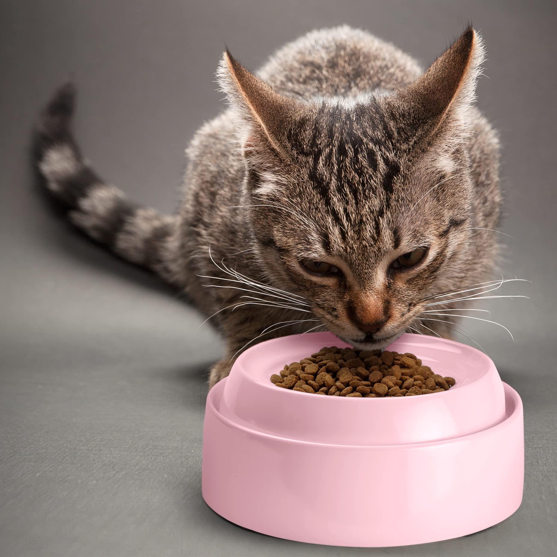 CatGuru bol chat rose ensemble double pratique pour deux chats.
