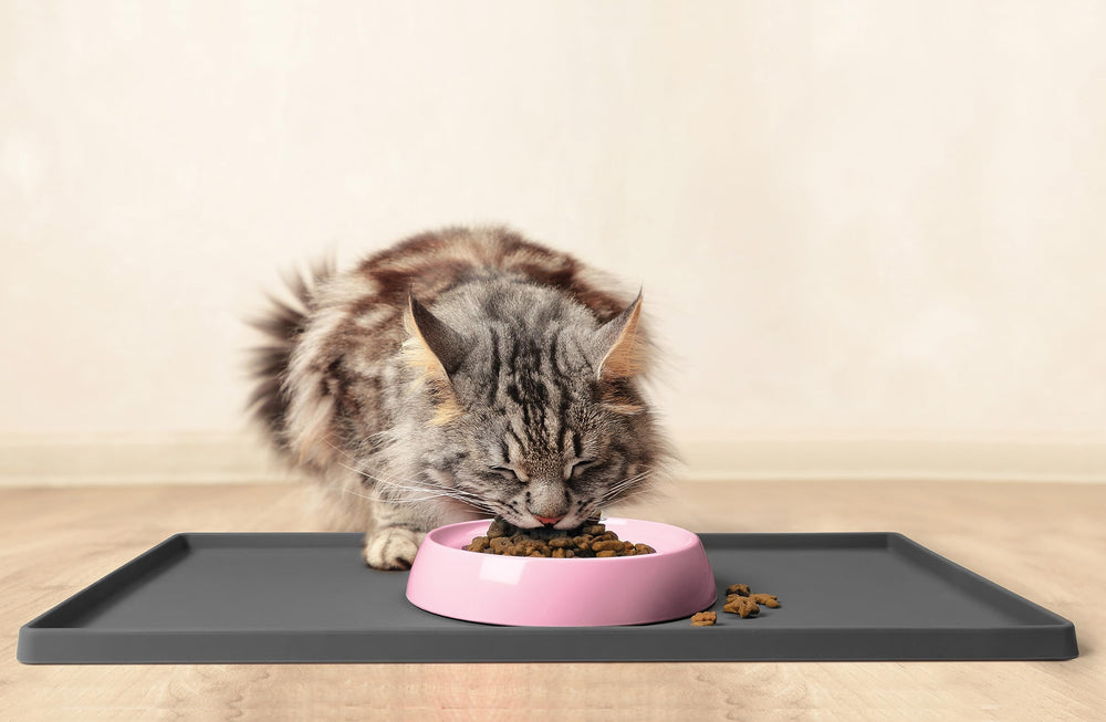 CatGuru bol chat rose lavable à la main pour un entretien facile.