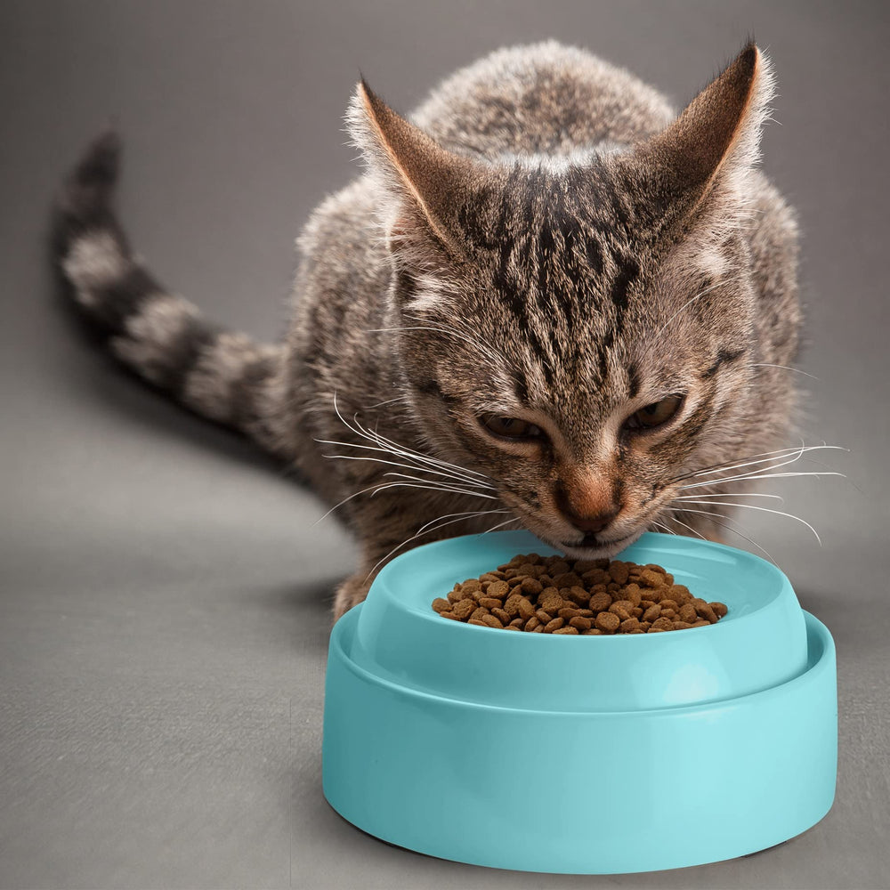 Bol CatGuru sans BPA, sûr pour les aliments des chats.