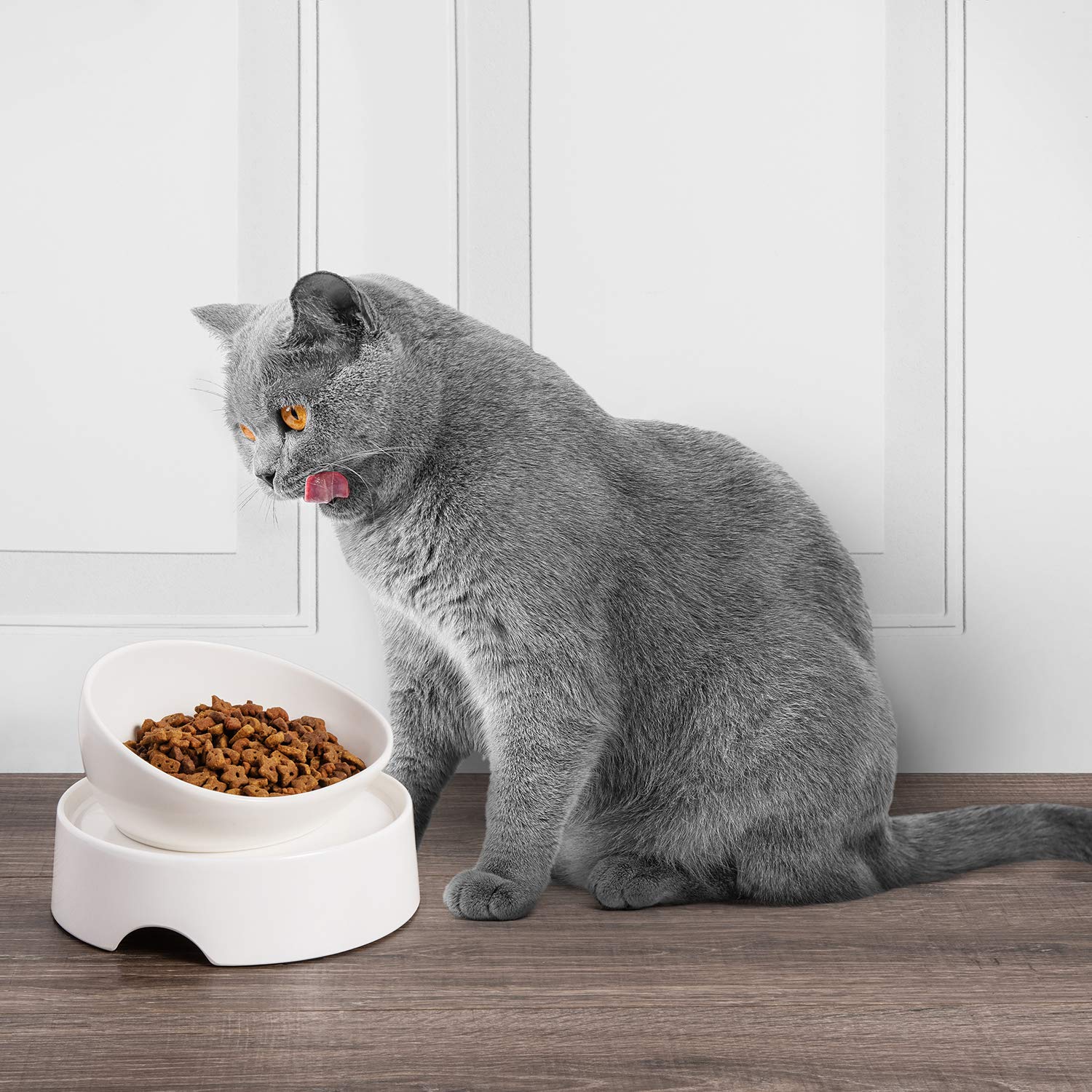 Table CatGuru dimensions 7-7-2-3 pouces indiquées clairement.